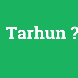 Tarhun