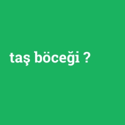 taş böceği
