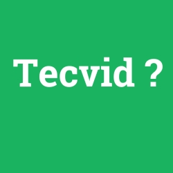Tecvid