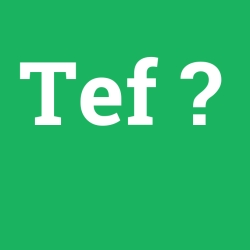 Tef