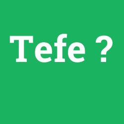Tefe