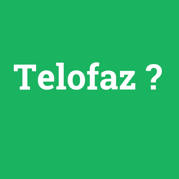 Telofaz, Telofaz nedir ,Telofaz ne demek