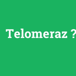 Telomeraz