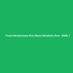 Temel Metobolizma Hızı (Basal Metabolic Rate - BMR)