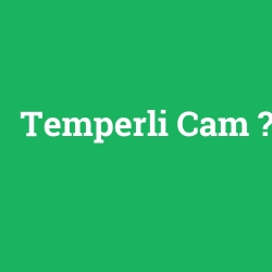 Temperli Cam