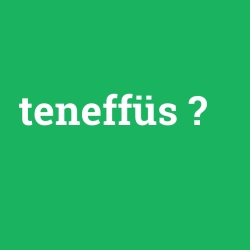teneffüs