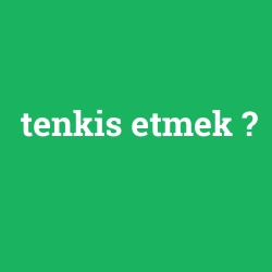 tenkis etmek