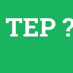 TEP foto galeri