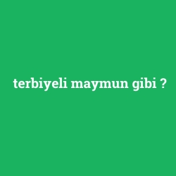 terbiyeli maymun gibi