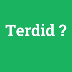 Terdid