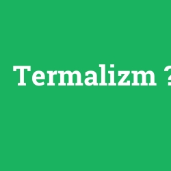 Termalizm