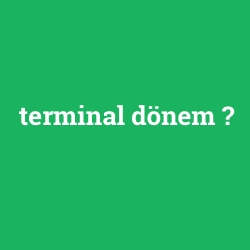 terminal dönem