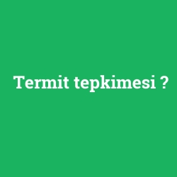 Termit tepkimesi foto galeri