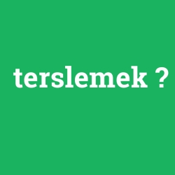 terslemek