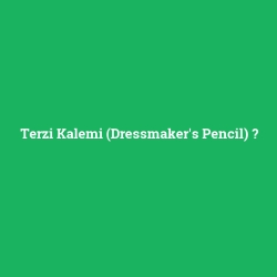 Terzi Kalemi (Dressmaker's Pencil)
