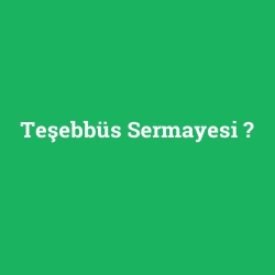 Teşebbüs Sermayesi