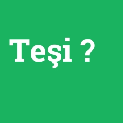 Teşi