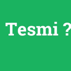Tesmi