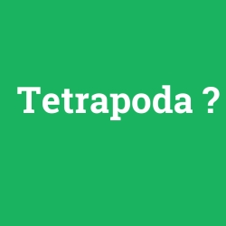 Tetrapoda foto galeri