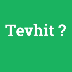 Tevhit