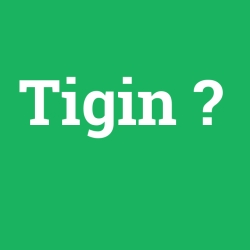 Tigin