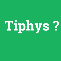 Tiphys