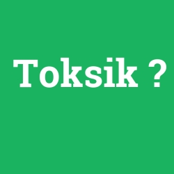 Toksik