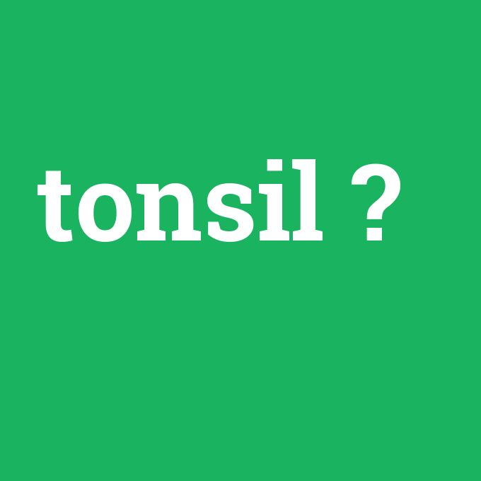 tonsil, tonsil nedir ,tonsil ne demek