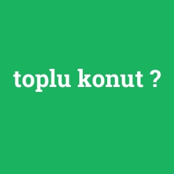 toplu konut