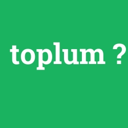 toplum