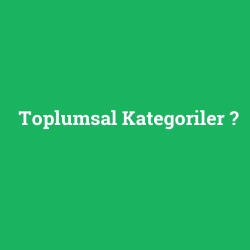 Toplumsal Kategoriler