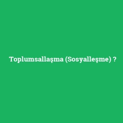 Toplumsallaşma (Sosyalleşme)