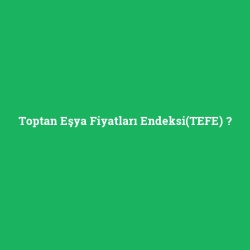 Toptan Eşya Fiyatları Endeksi(TEFE)