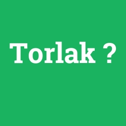 Torlak