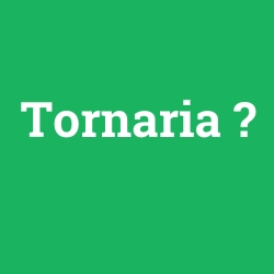 Tornaria
