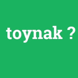 toynak foto galeri