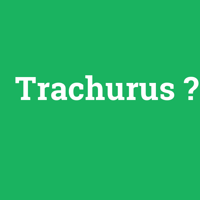Trachurus, Trachurus nedir ,Trachurus ne demek