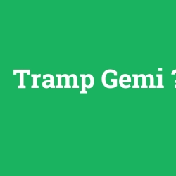Tramp Gemi