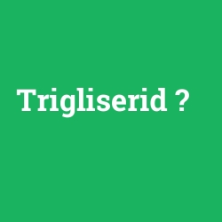 Trigliserid