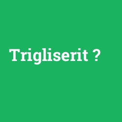 Trigliserit