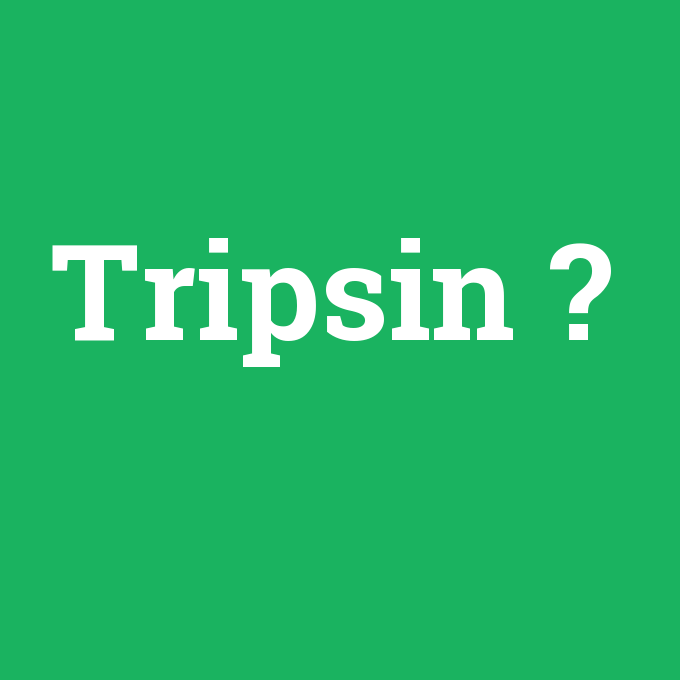 Tripsin, Tripsin nedir ,Tripsin ne demek