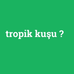 tropik kuşu