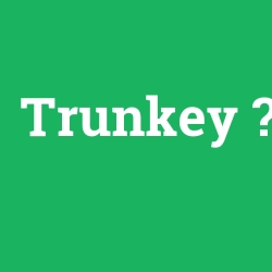 Trunkey
