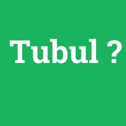 Tubul