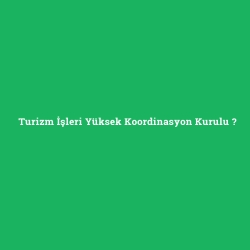 Turizm İşleri Yüksek Koordinasyon Kurulu