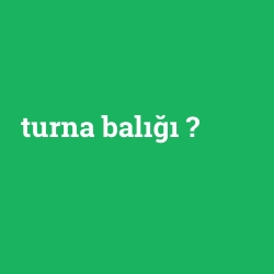 turna balığı