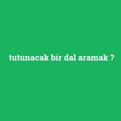 tutunacak bir dal aramak