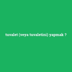 tuvalet (veya tuvaletini) yapmak