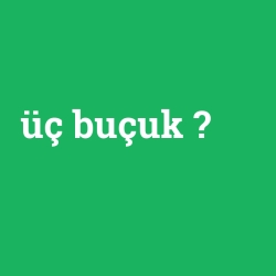 üç buçuk