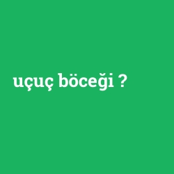 uçuç böceği